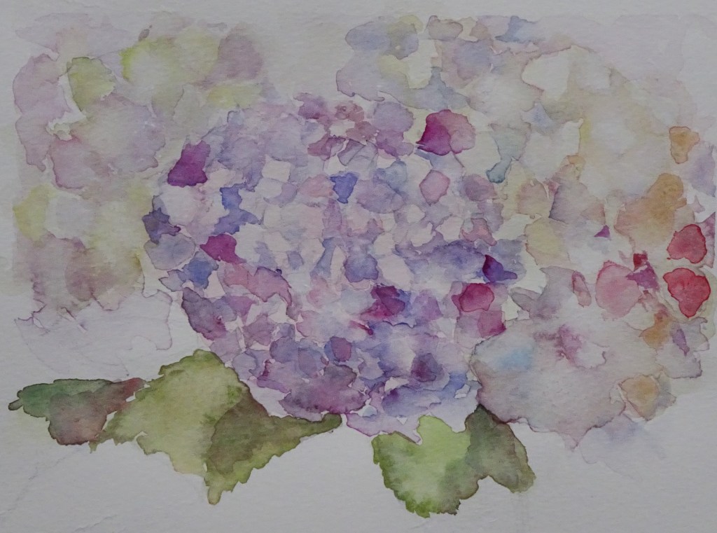 Inma y las hortensias